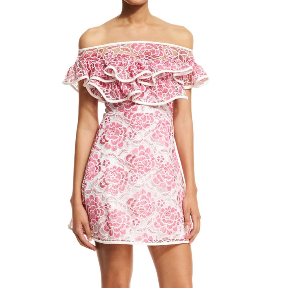 Alexis Pink Paula Lace Dress